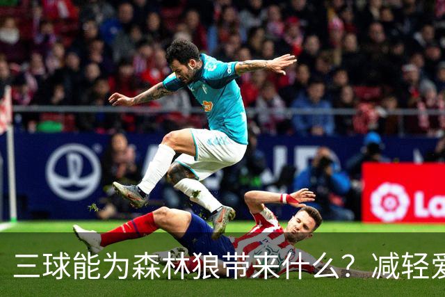 三球能为森林狼带来什么？减轻爱德华兹单打负担 麦丹能惩罚对手