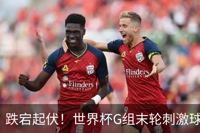 跌宕起伏！世界杯G组末轮刺激球迷心脏 伊朗狂喜过后遭打击